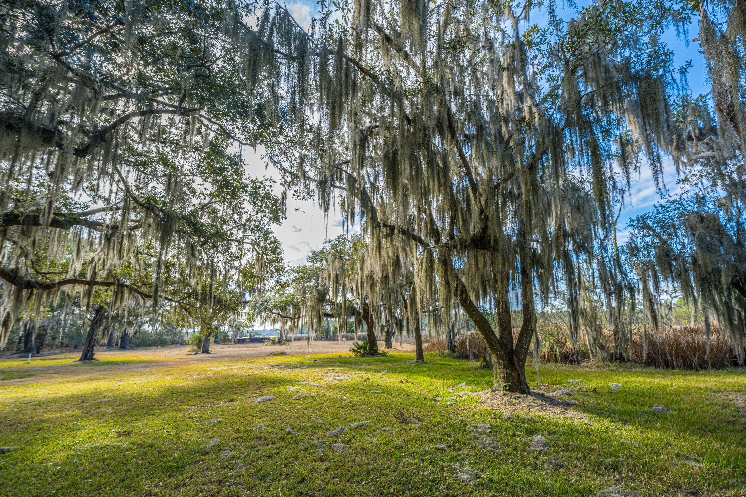 4107 Davison Road Ravenel, SC 29470 - Photo 5 of 27 4107DavisonRd001