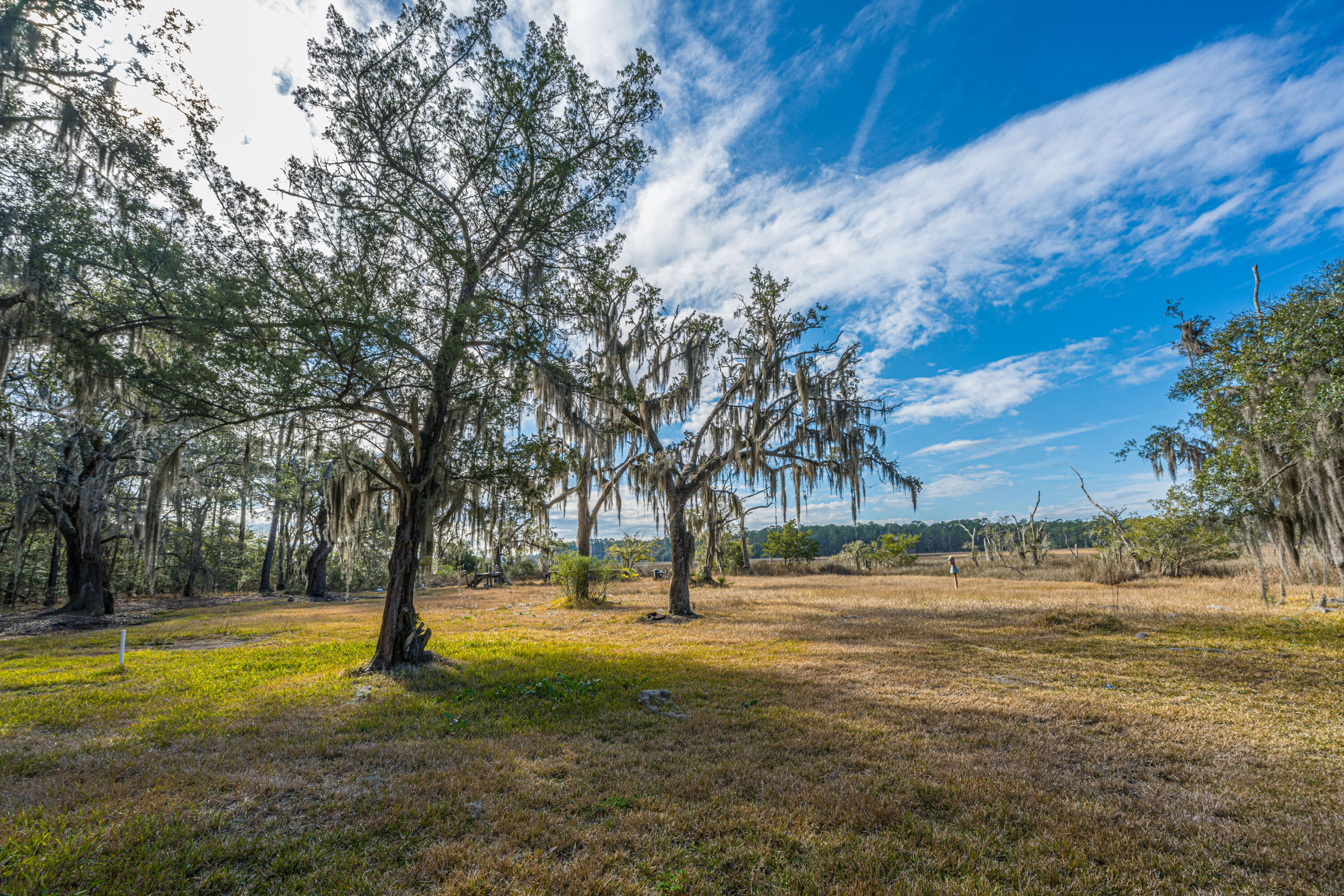 4107 Davison Road Ravenel, SC 29470 - Photo 6 of 27 4107DavisonRd008
