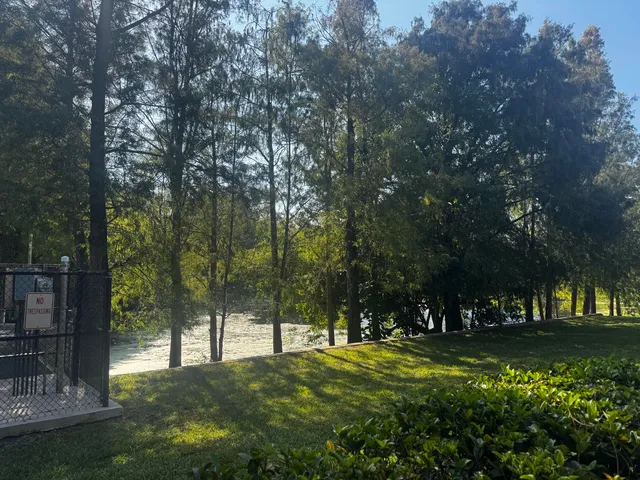 a view of a park with large trees