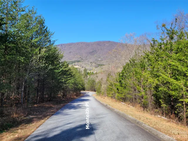 a view of a field with a tree in front of it