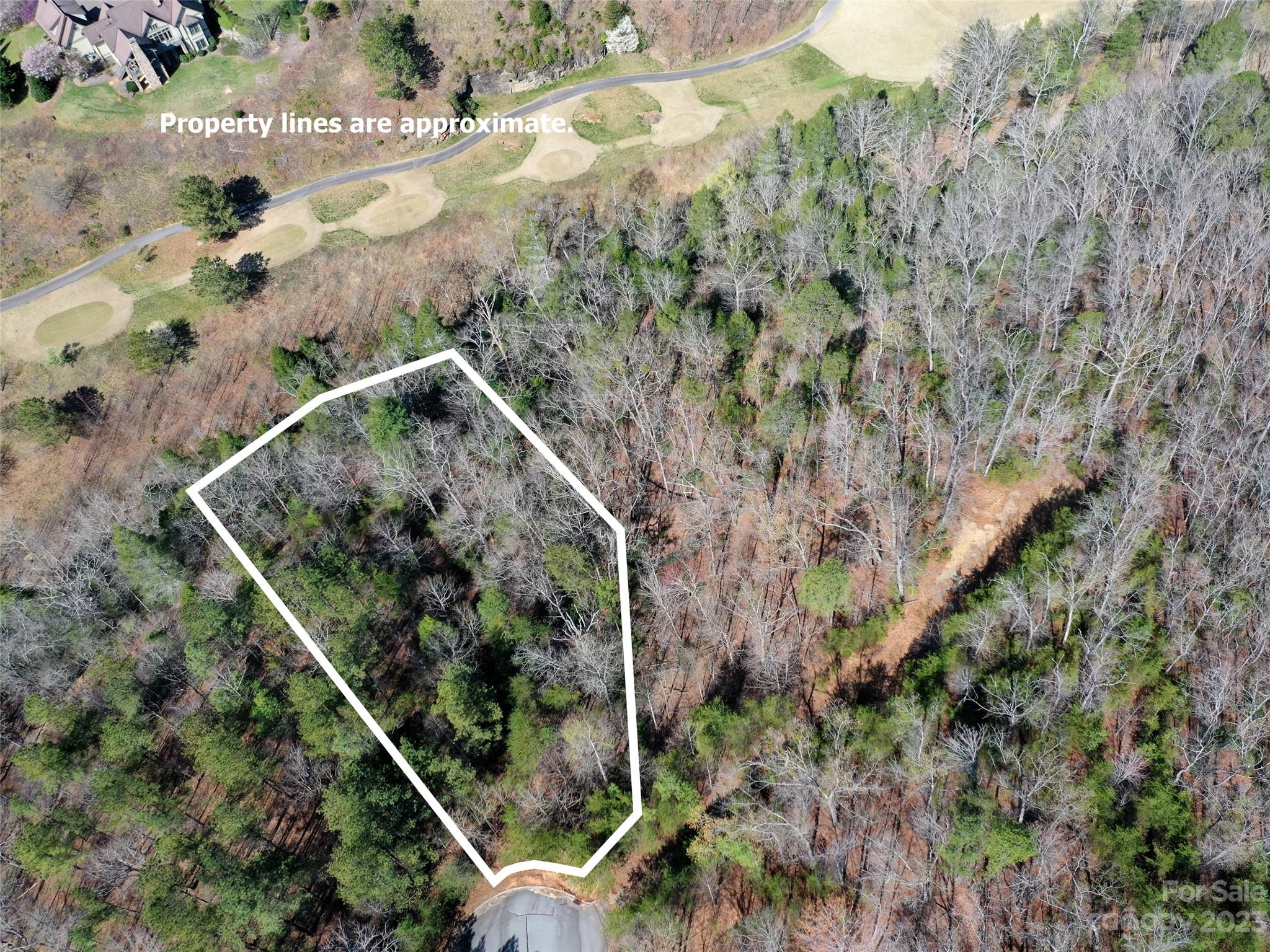 Lot 25 Monteith Pl Mill Spring Mill Spring, NC 28756 - Photo 5 of 10