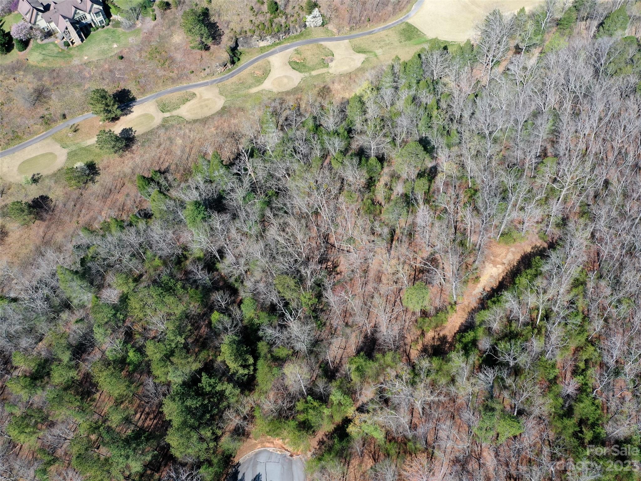 Lot 25 Monteith Pl Mill Spring Mill Spring, NC 28756 - Photo 6 of 10 a view of a forest with a tree