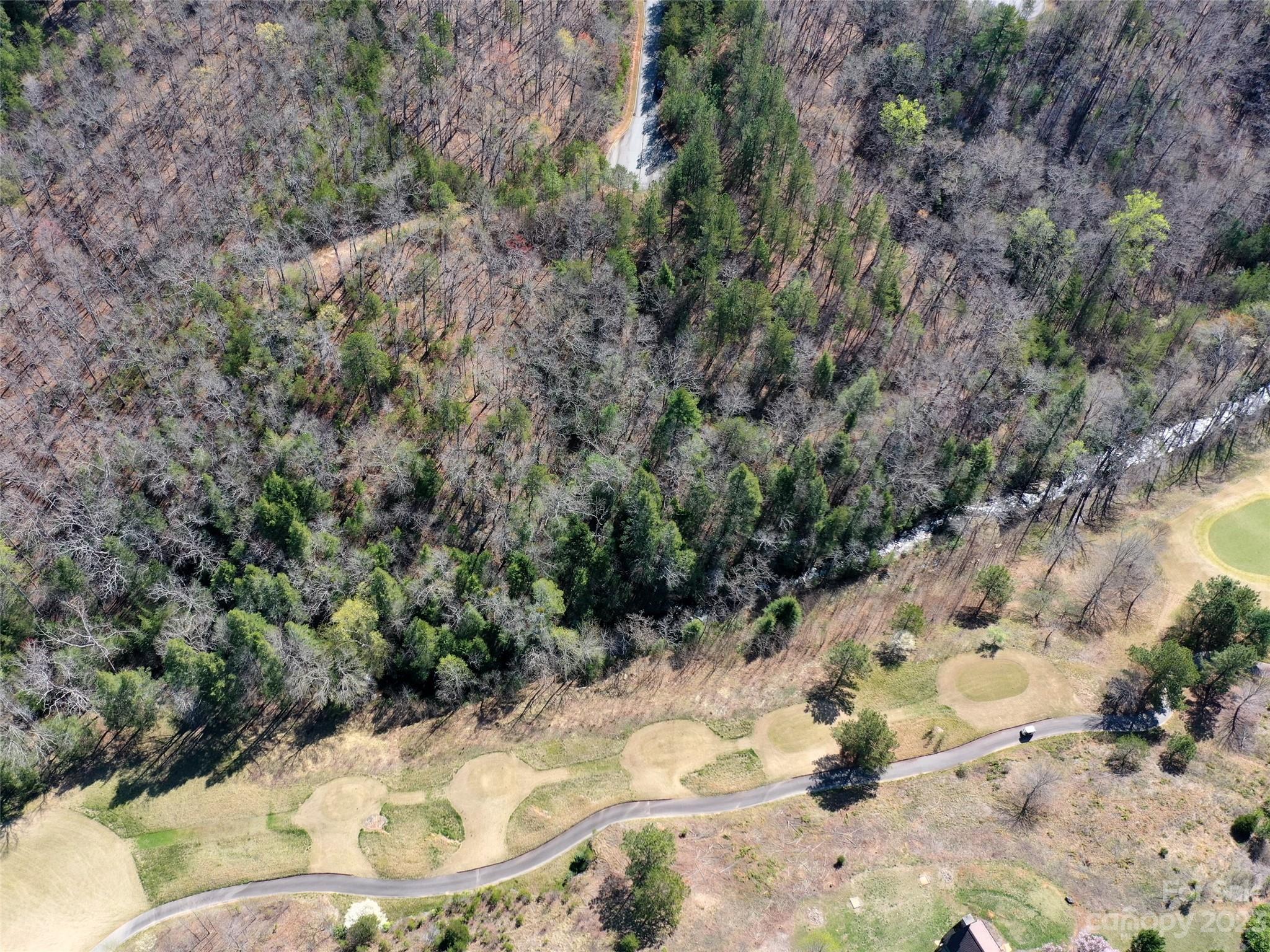 Lot 25 Monteith Pl Mill Spring Mill Spring, NC 28756 - Photo 8 of 10 a view of a yard with plants and large trees