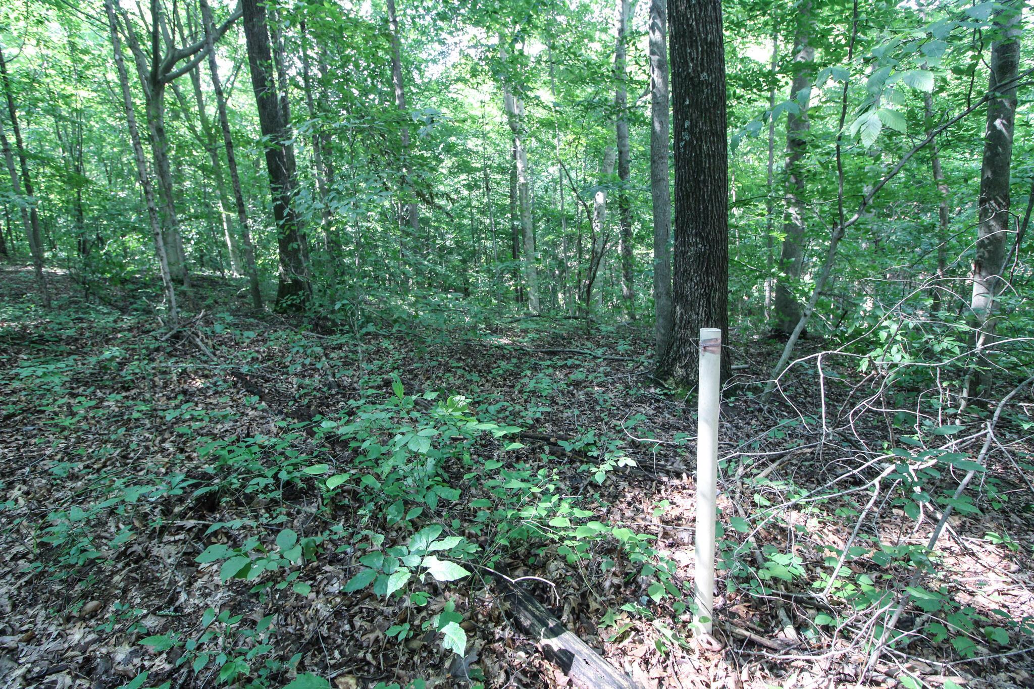 0 Dietrick Hill Road Philo, OH 43771 - Photo 23 of 25 IMG_4910