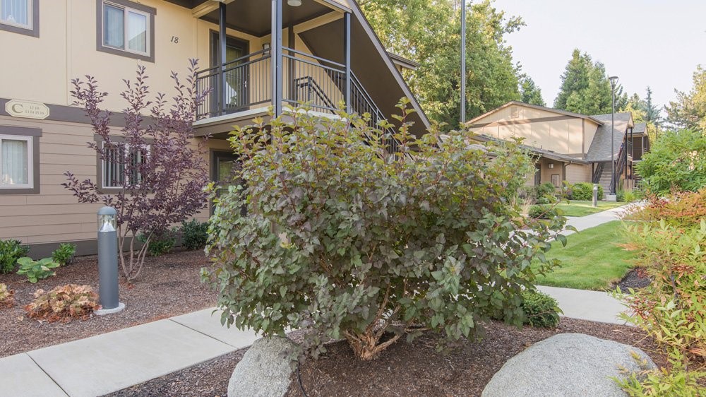 1108 South Rose Street, Unit 50 Phoenix, OR 97535 - Photo 3 of 10 a view of a patio with table and chairs and potted plants