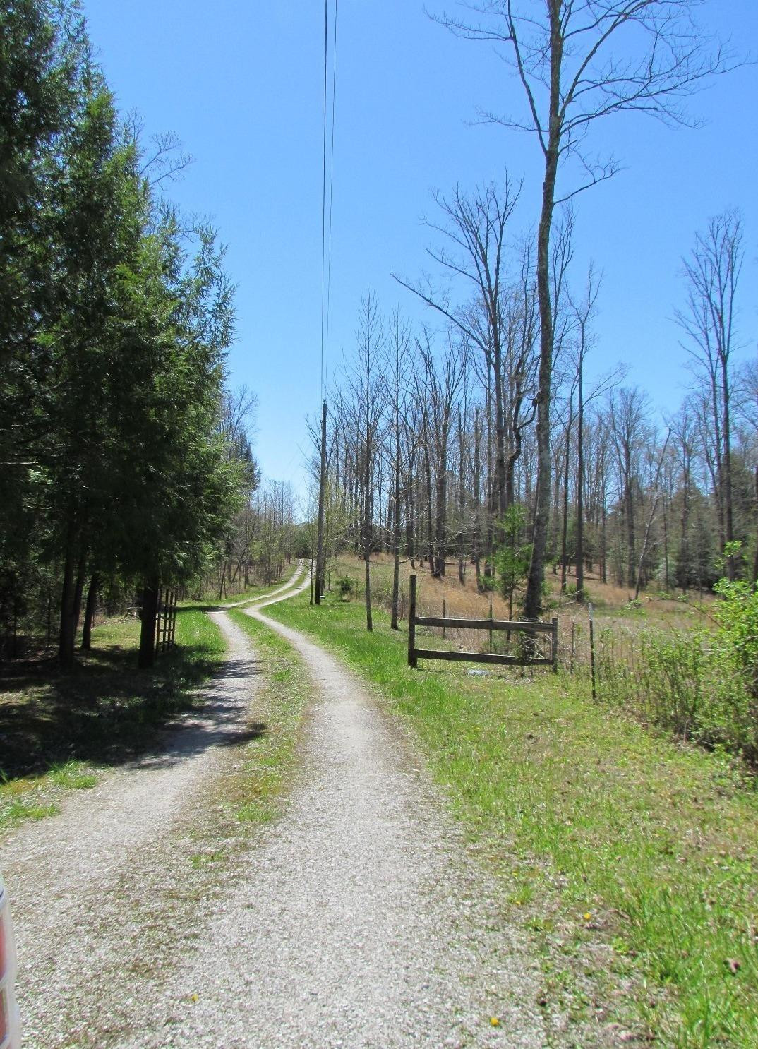 View from the road.