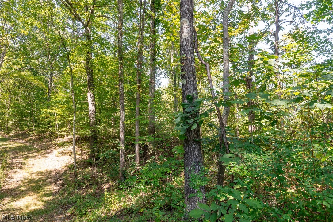 0 3 County Road Glouster, OH 45732 - Photo 8 of 20 Gallery Image 8