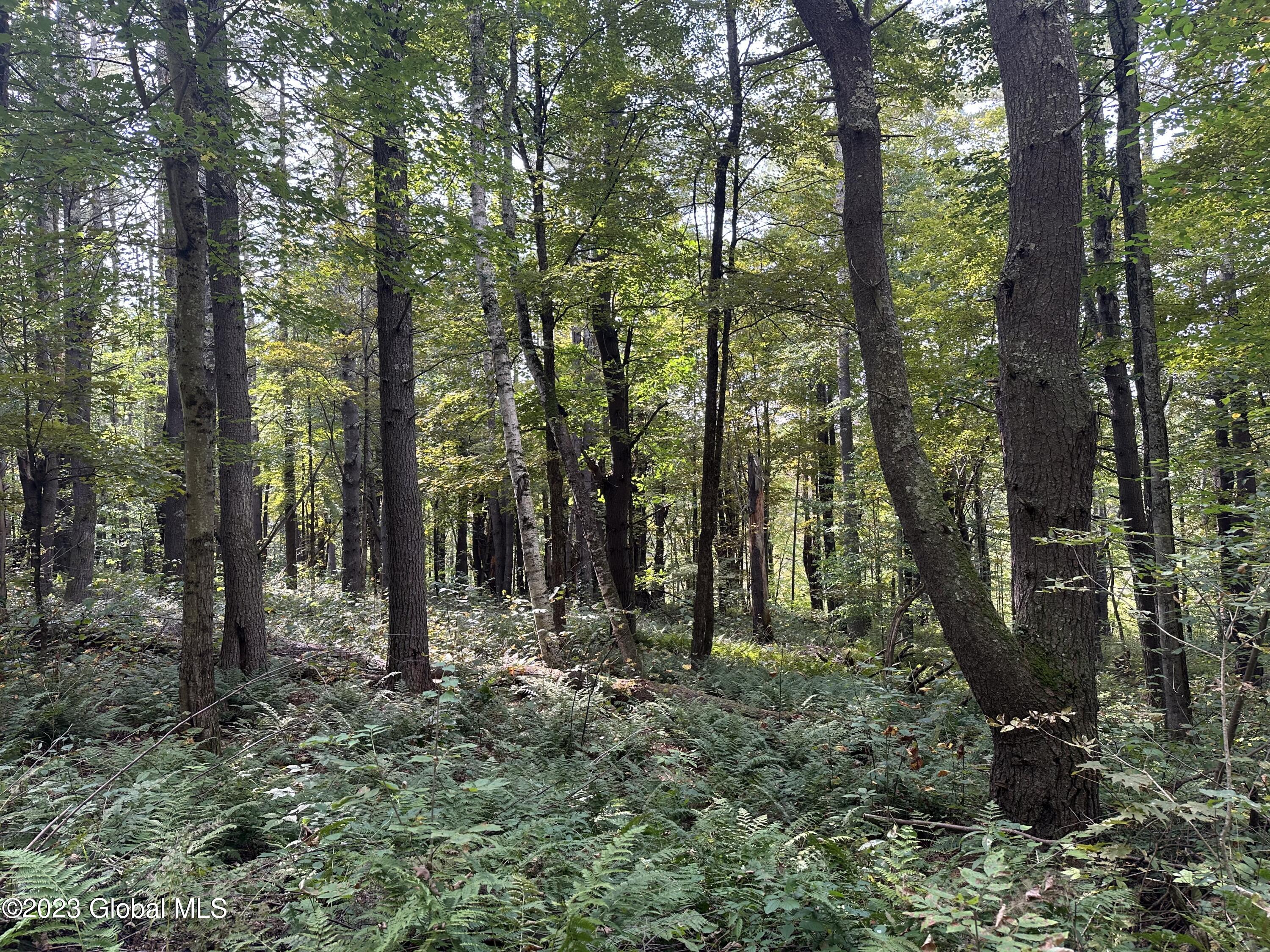 562 Steele Road Shushan, NY 12873 - Photo 11 of 12 IMG_3368