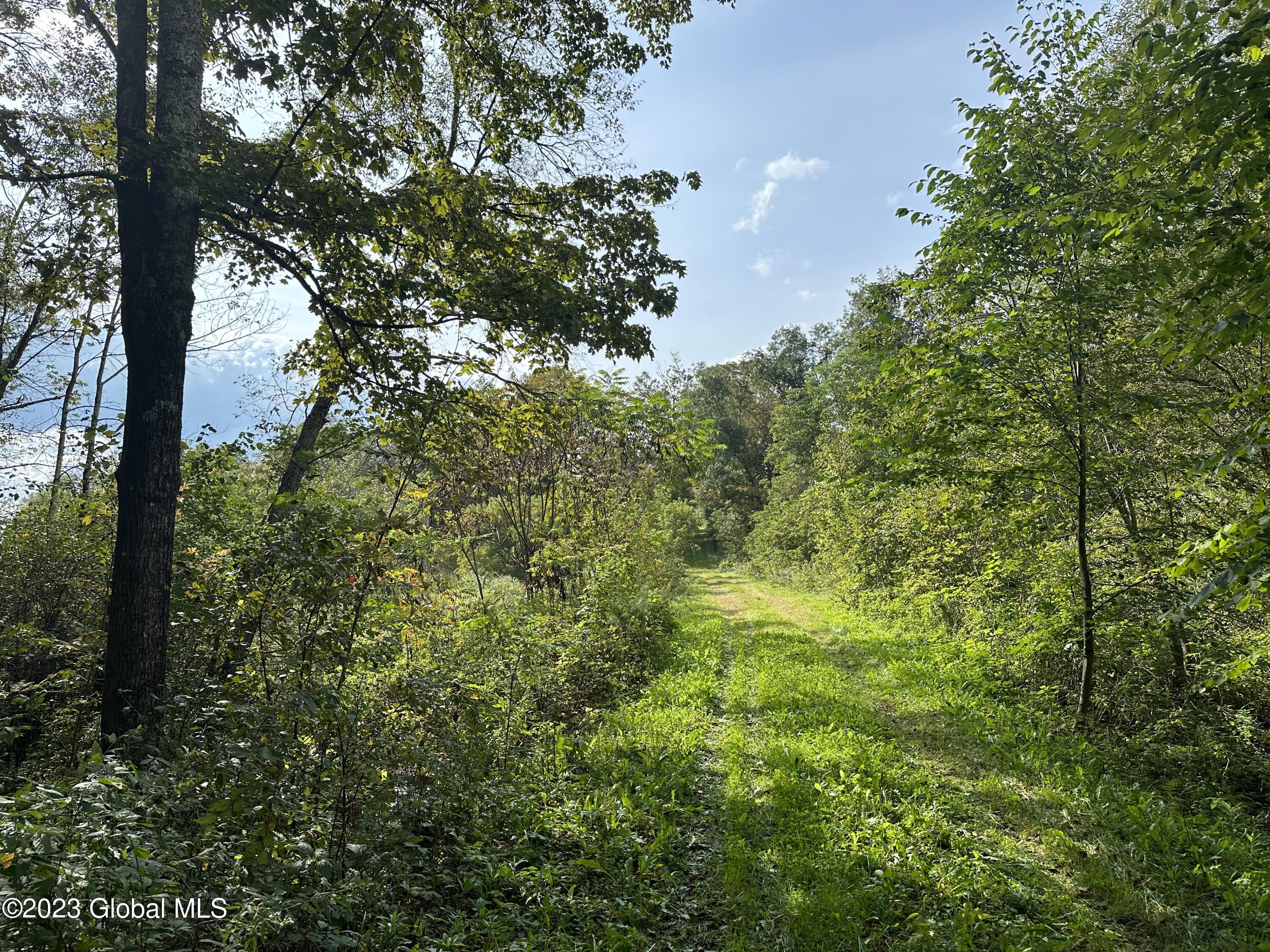 562 Steele Road Shushan, NY 12873 - Photo 12 of 12 IMG_3369