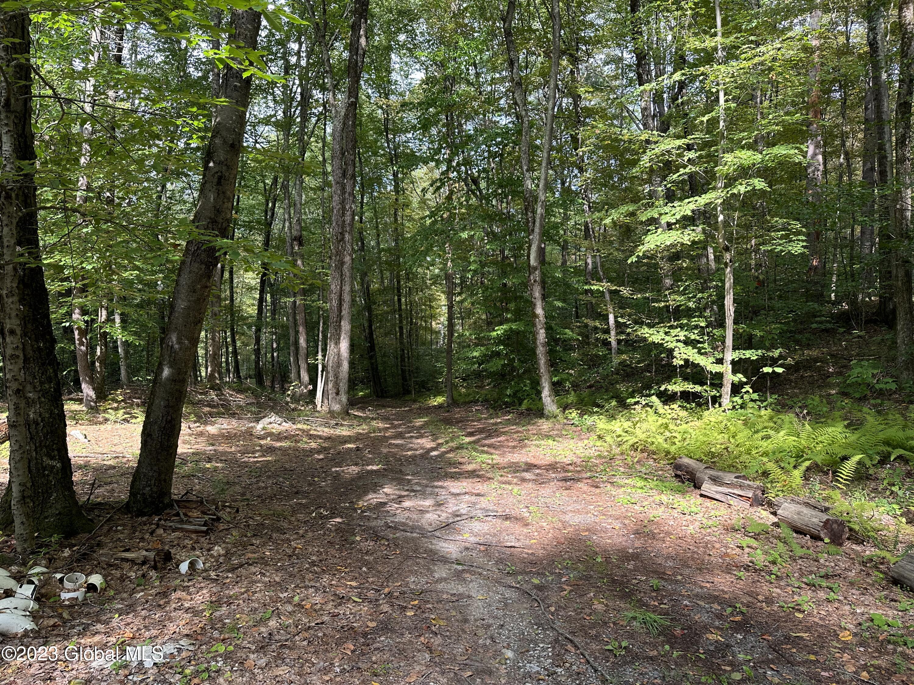 562 Steele Road Shushan, NY 12873 - Photo 6 of 12 IMG_3363