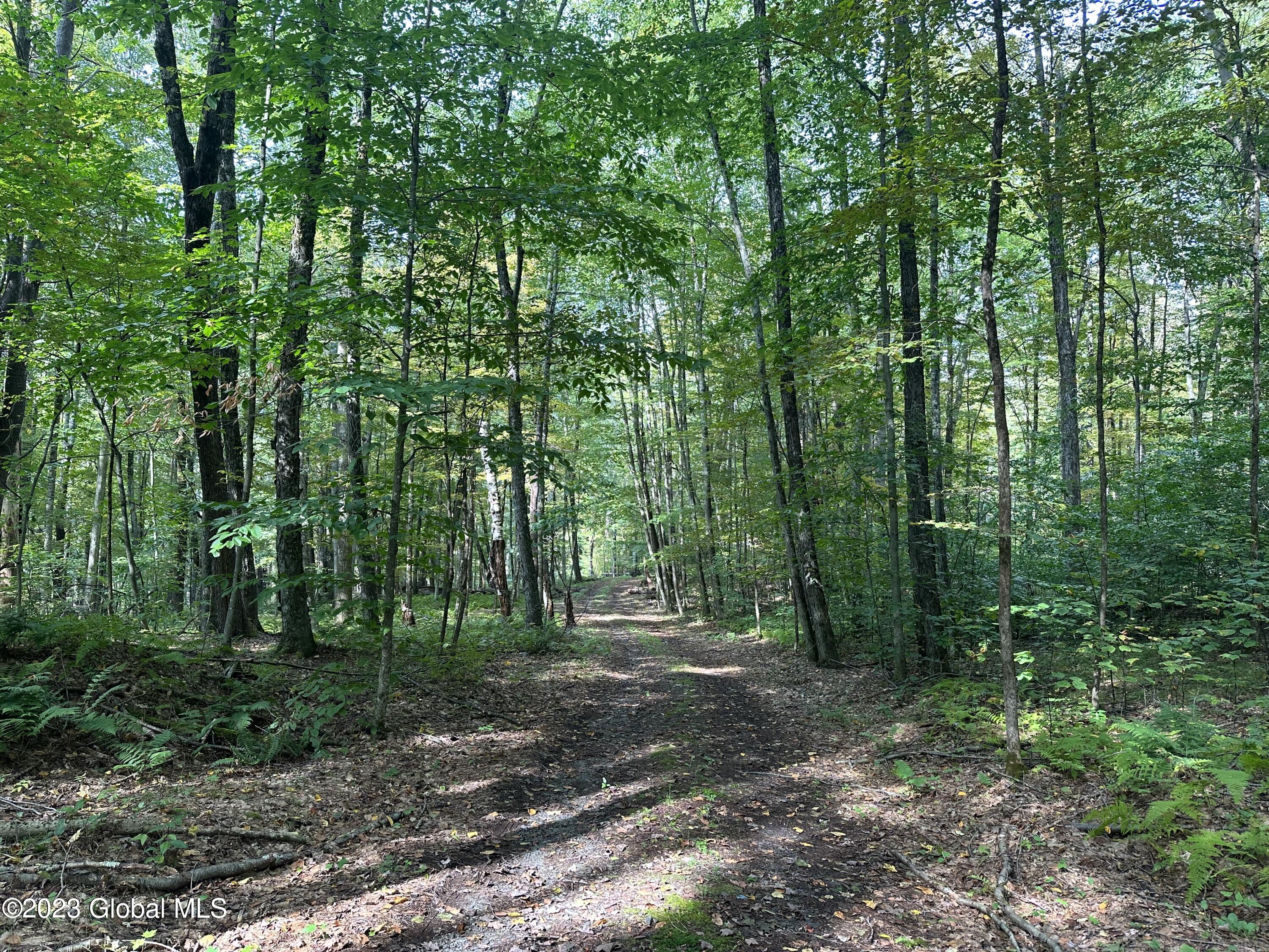 562 Steele Road Shushan, NY 12873 - Photo 8 of 12 IMG_3365