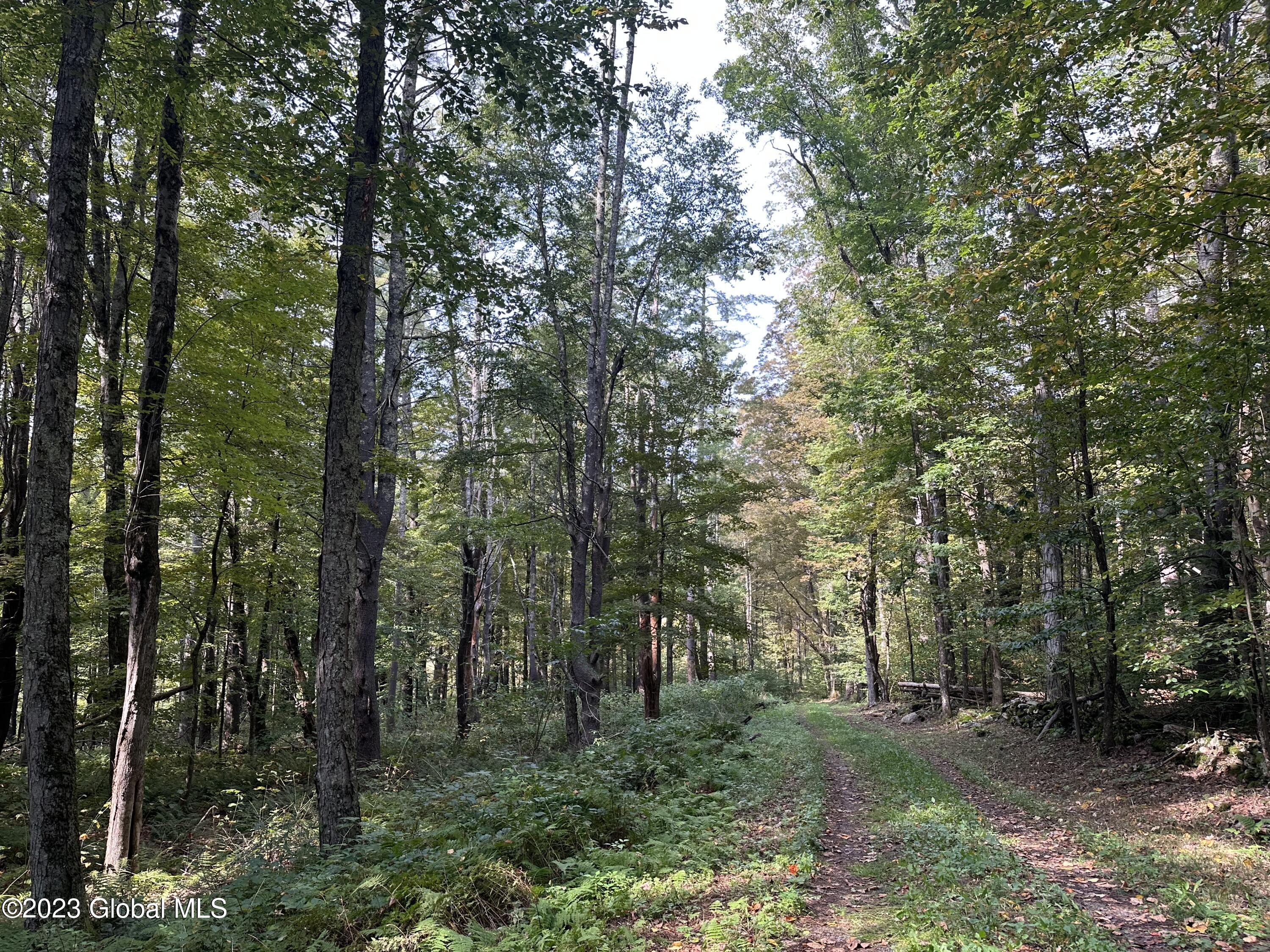 562 Steele Road Shushan, NY 12873 - Photo 10 of 12 IMG_3367
