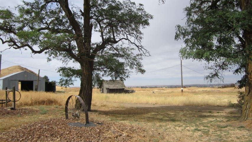 Xxx Falk South Falk Road Cheney, WA 99004 - Photo 14 of 20