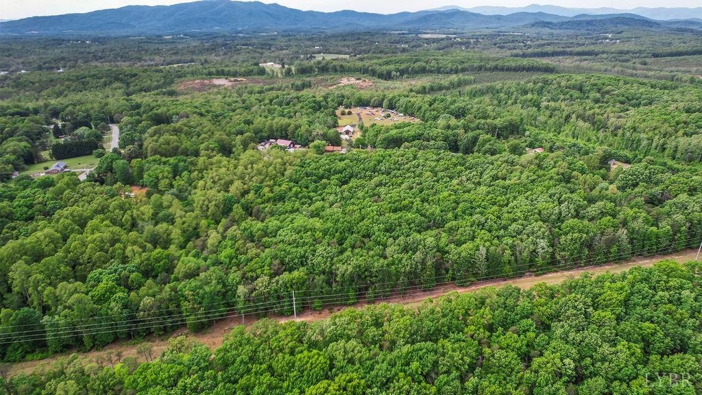 0 South Coolwell Road Madison Heights, VA 24572 - Photo 14 of 15