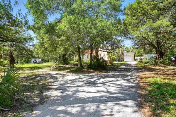a view of a tree in the middle of a yard