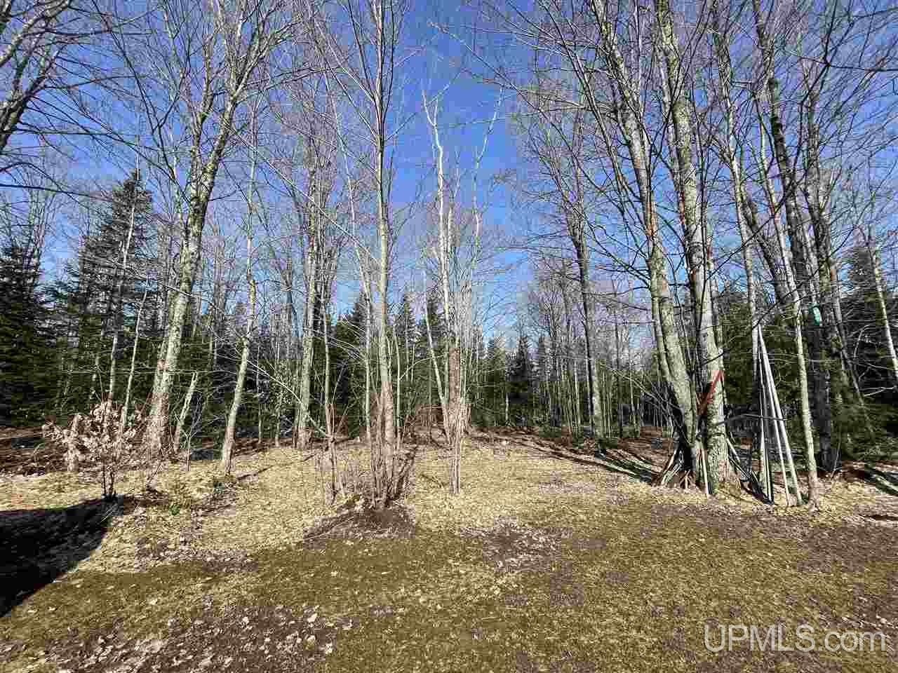 5393 North Rumley Road Skandia, MI 49885 - Photo 41 of 48