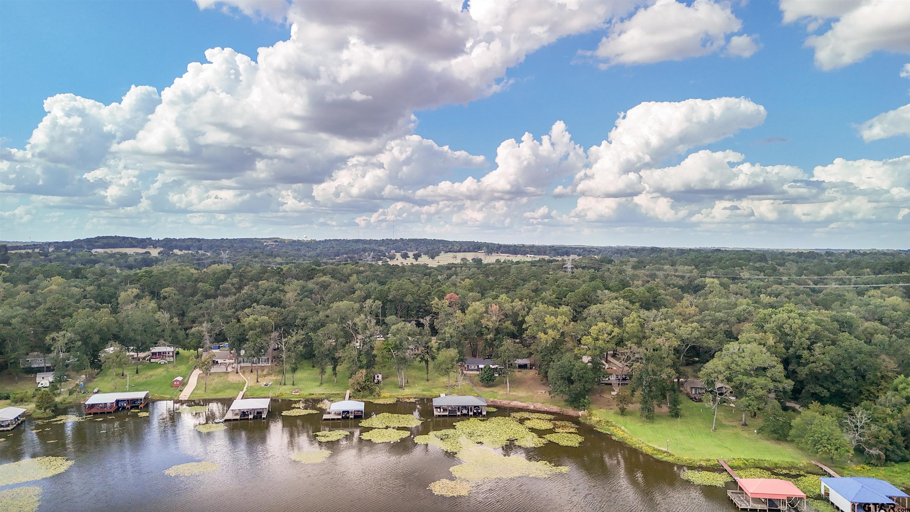 14271 NW Road Tyler, TX 75707 - Photo 43 of 48 a view of a lake in middle of the town