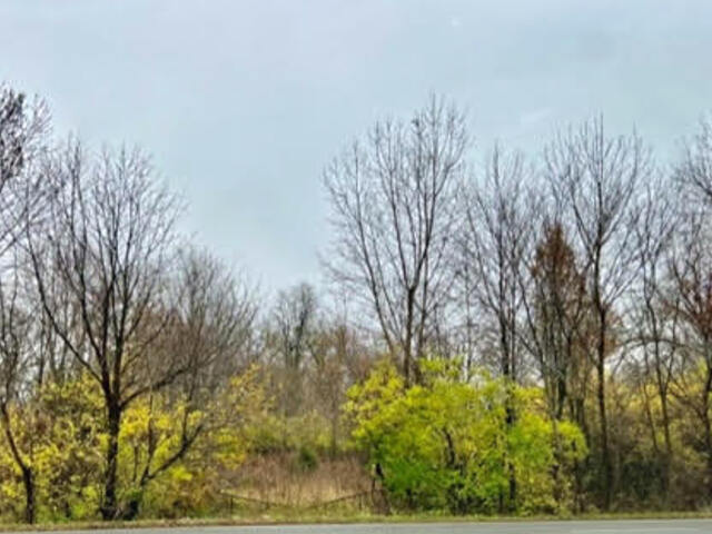 7715 Michigan Road Indianapolis, IN 46268 - Photo 2 of 4 Gallery Image 2