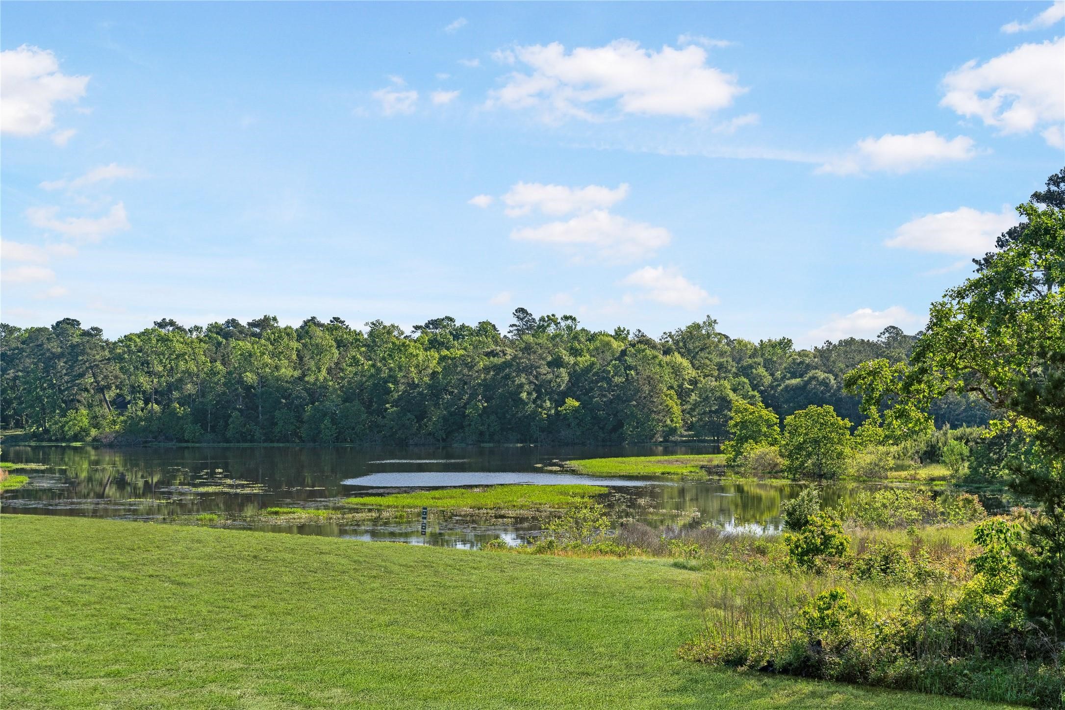 42623 Rustico Road Magnolia, TX 77354 - Photo 45 of 48 Community Lifestyle