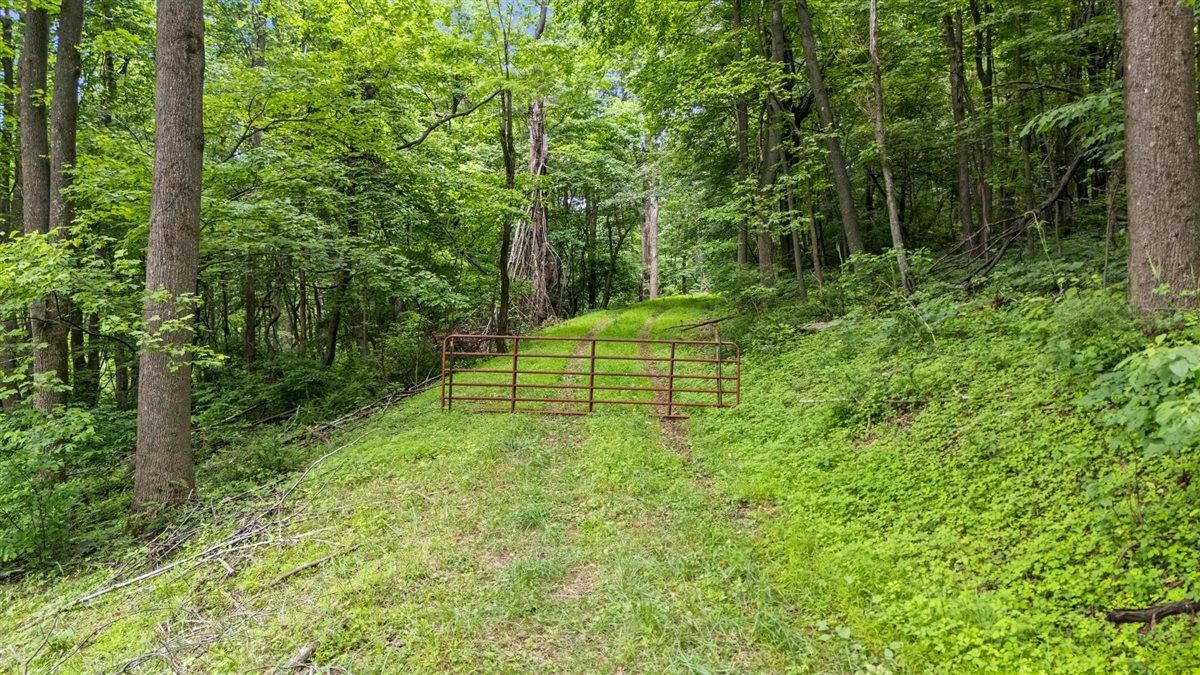 Lot 19-20 Hidden Hill Road Stanley, VA 22851 - Photo 9 of 20