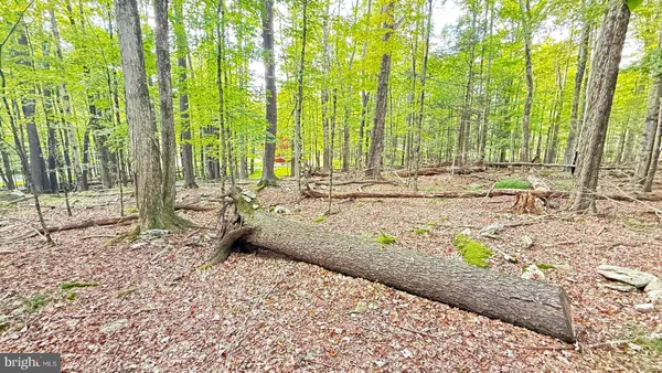a view of yard with patio