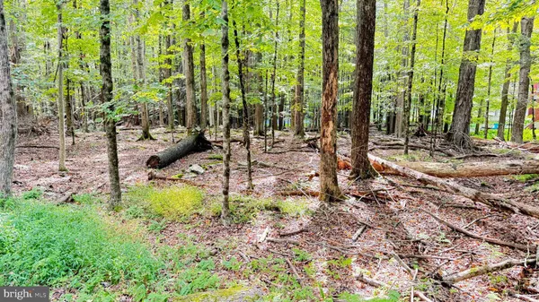 a view of swimming pool with lawn chairs and plants