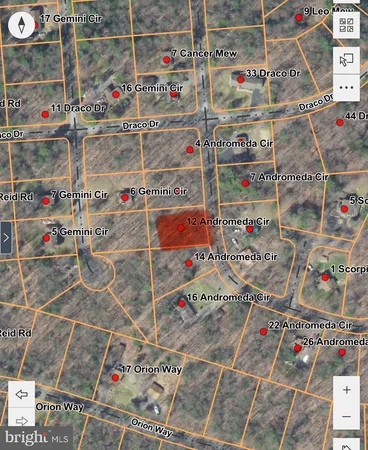 a store with lots of different kinds of flowers