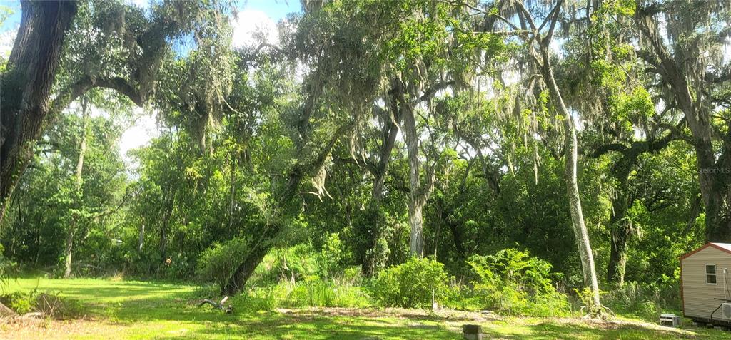 3534 Milton West Road Dover, FL 33527 - Photo 13 of 26 a view of yard with green space