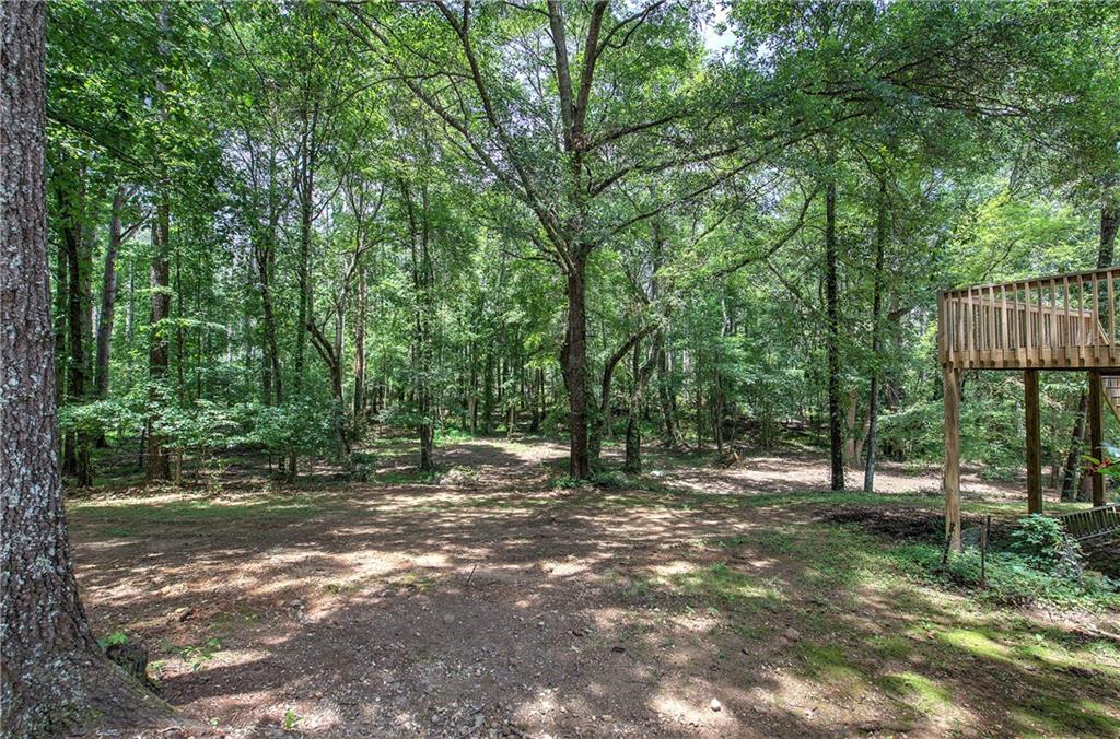 80 Iron Hill Road Taylorsville, GA 30178 - Photo 10 of 37