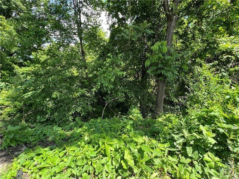 2000 Ridge Street West Mifflin, PA 15122 - Photo 5 of 7 a view of a lush green forest