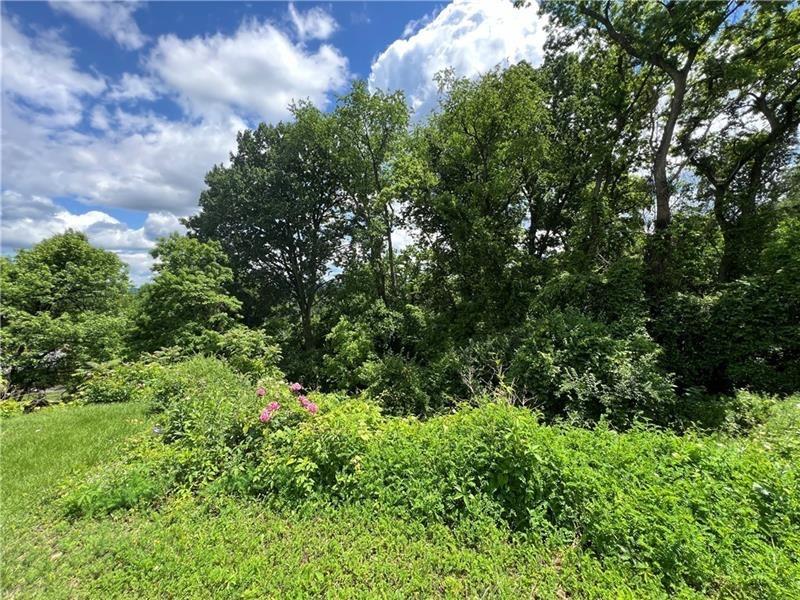 2000 Ridge Street West Mifflin, PA 15122 - Photo 6 of 7 a view of a garden