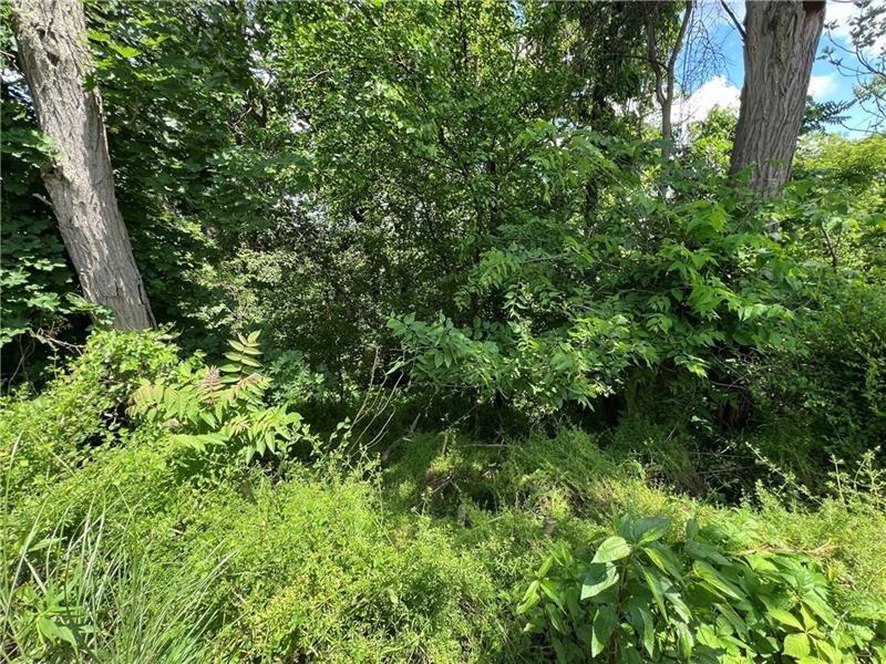 2000 Ridge Street West Mifflin, PA 15122 - Photo 7 of 7 a view of a lush green forest