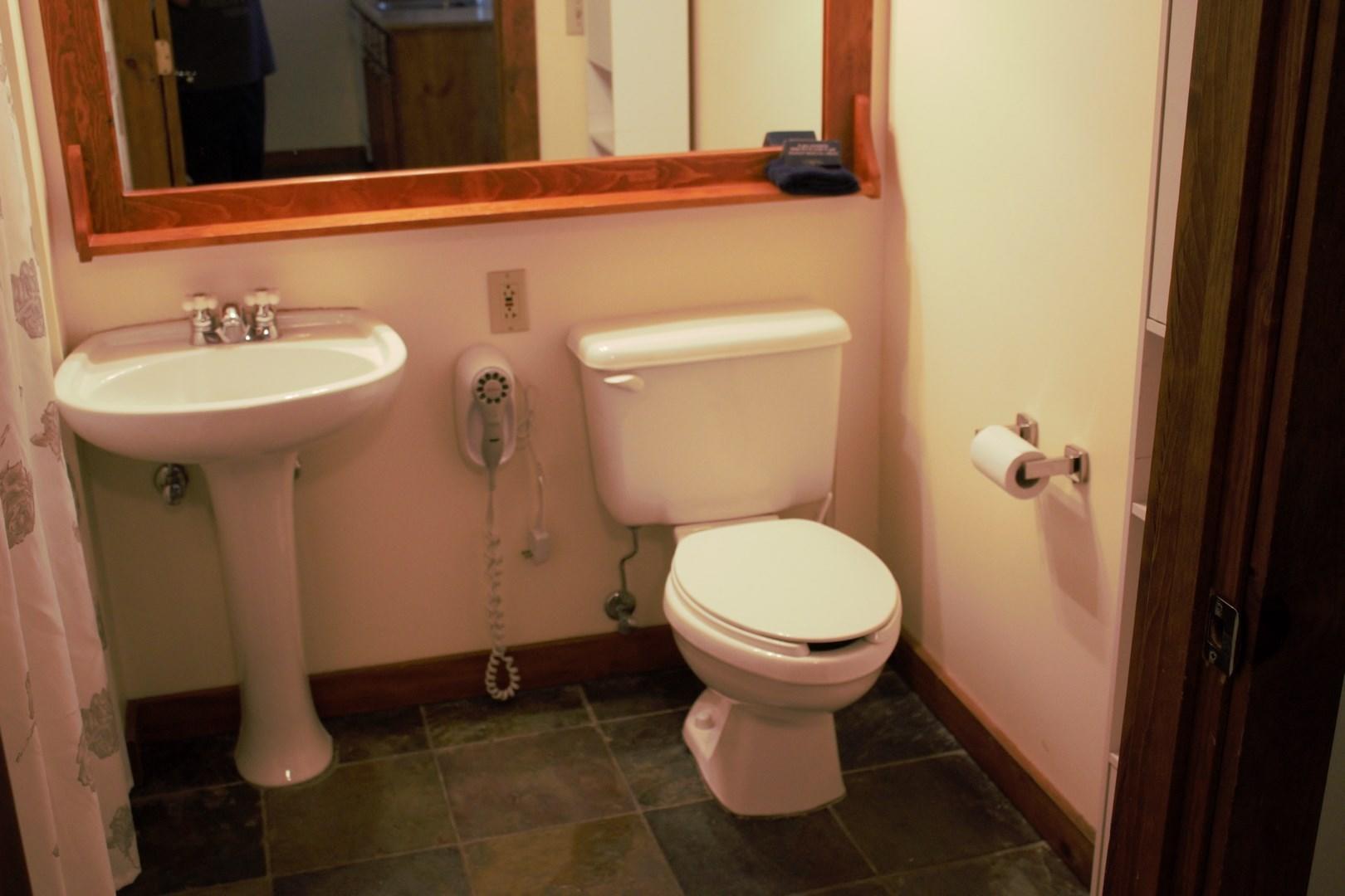 222 Rimfire Snowshoe, WV 26209 - Photo 7 of 15 Gallery Image 7