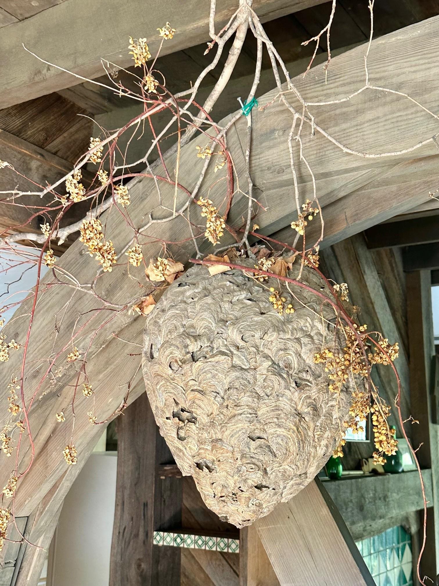 6602 Middlebrook Road Raphine, VA 24472 - Photo 11 of 68