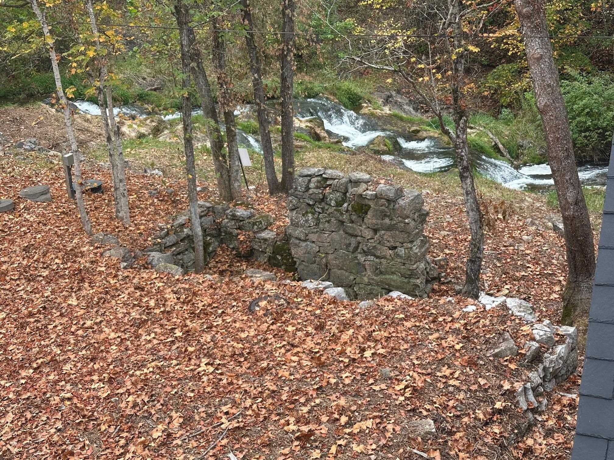 6602 Middlebrook Road Raphine, VA 24472 - Photo 61 of 68 a view of a yard with a tree