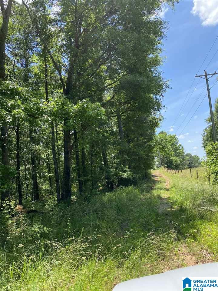 0 U.S. Highway 31, Unit 1 Verbena, AL 36091 - Photo 1 of 2