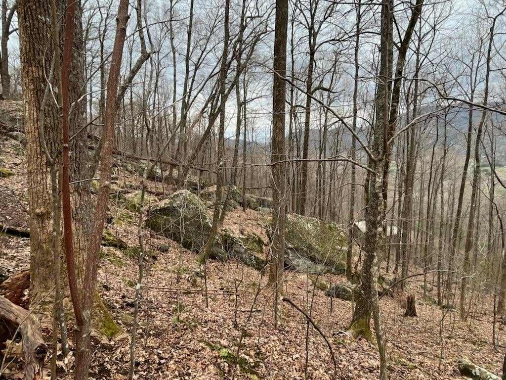 92 Boulder Lane Rabun Gap, GA 30568 - Photo 47 of 55