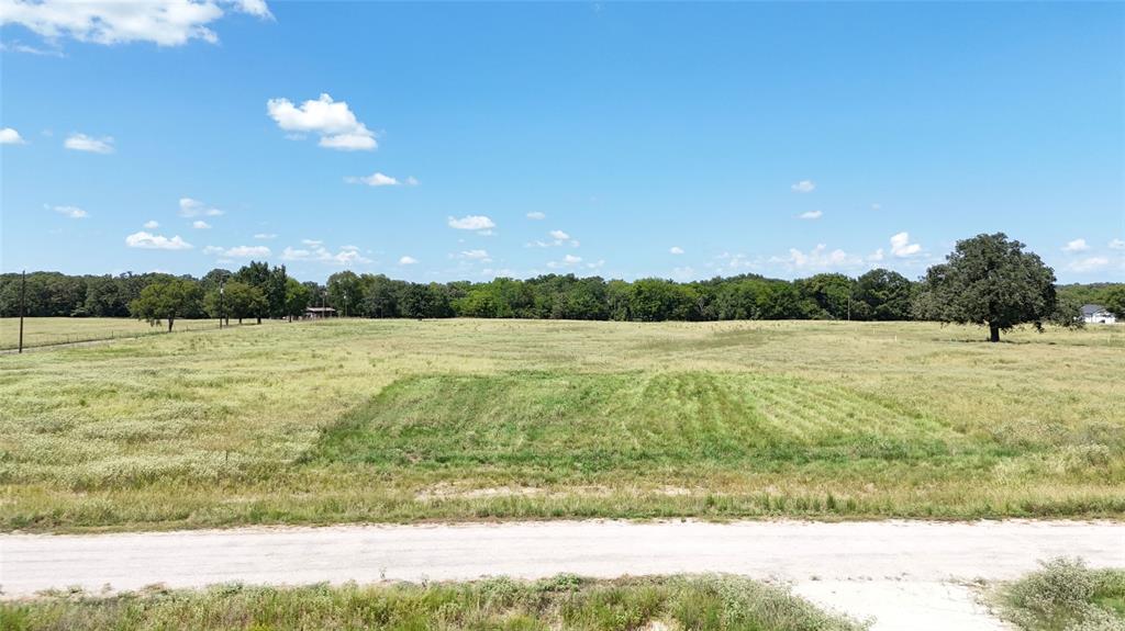Lot 49 Anglers Point Drive Emory, TX 75440 - Photo 8 of 15 a view of a lake