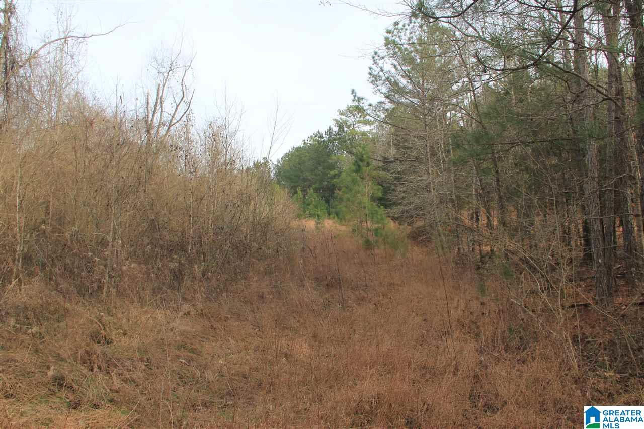 400 Eagle Lane Riverside, AL 35135 - Photo 7 of 8