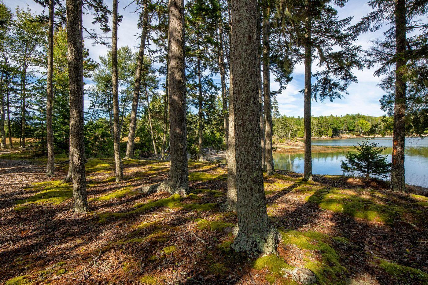 230 Keller Point Road Islesboro, ME 04848 - Photo 40 of 50 W40-ME2824_47