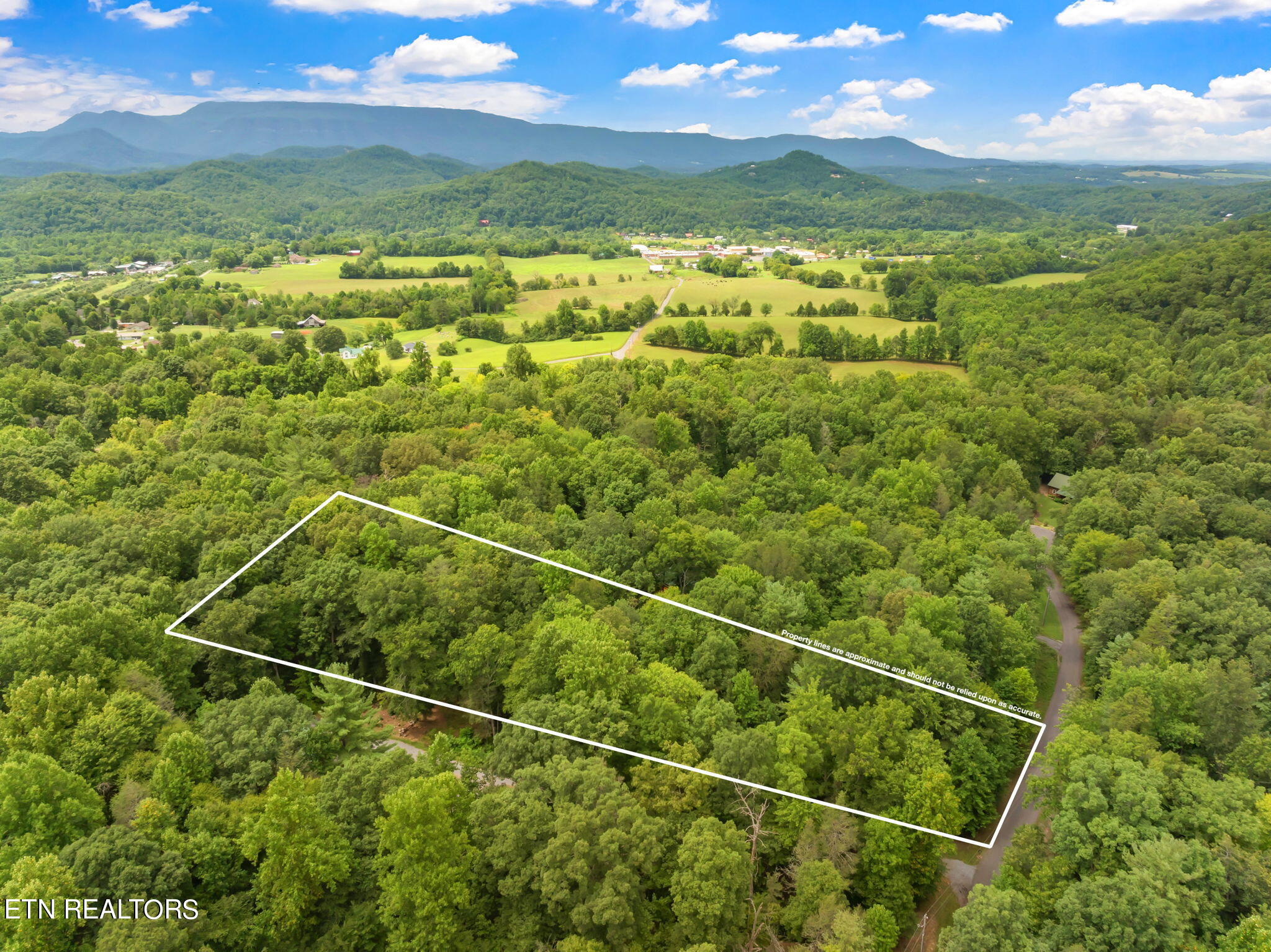 Rocky Ridge Road Cosby, TN 37722 - Photo 1 of 17 8-web-or-mls-Laurelwood Road Land-7-1