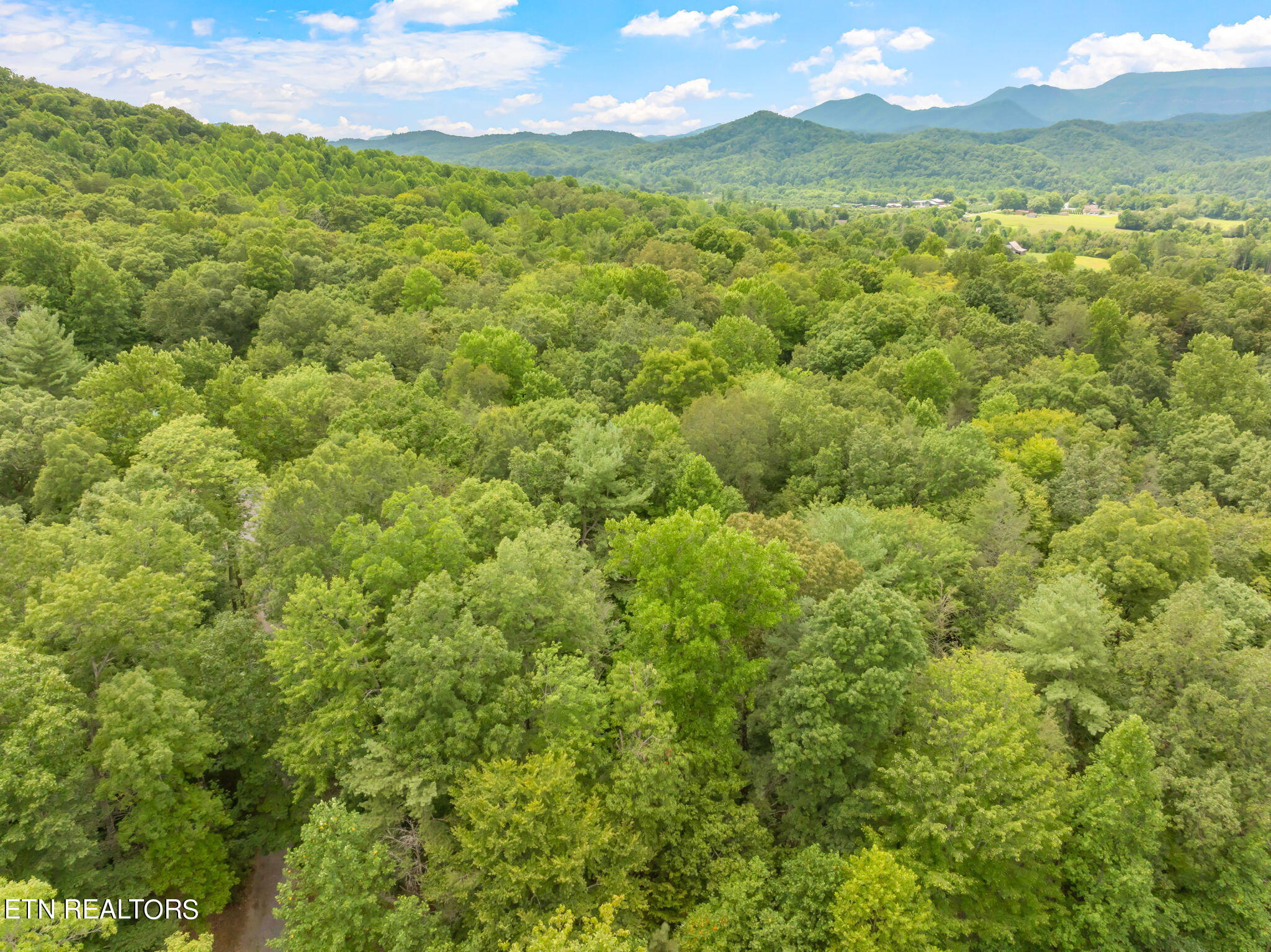 Rocky Ridge Road Cosby, TN 37722 - Photo 11 of 17 13-web-or-mls-Laurelwood Road Land-11