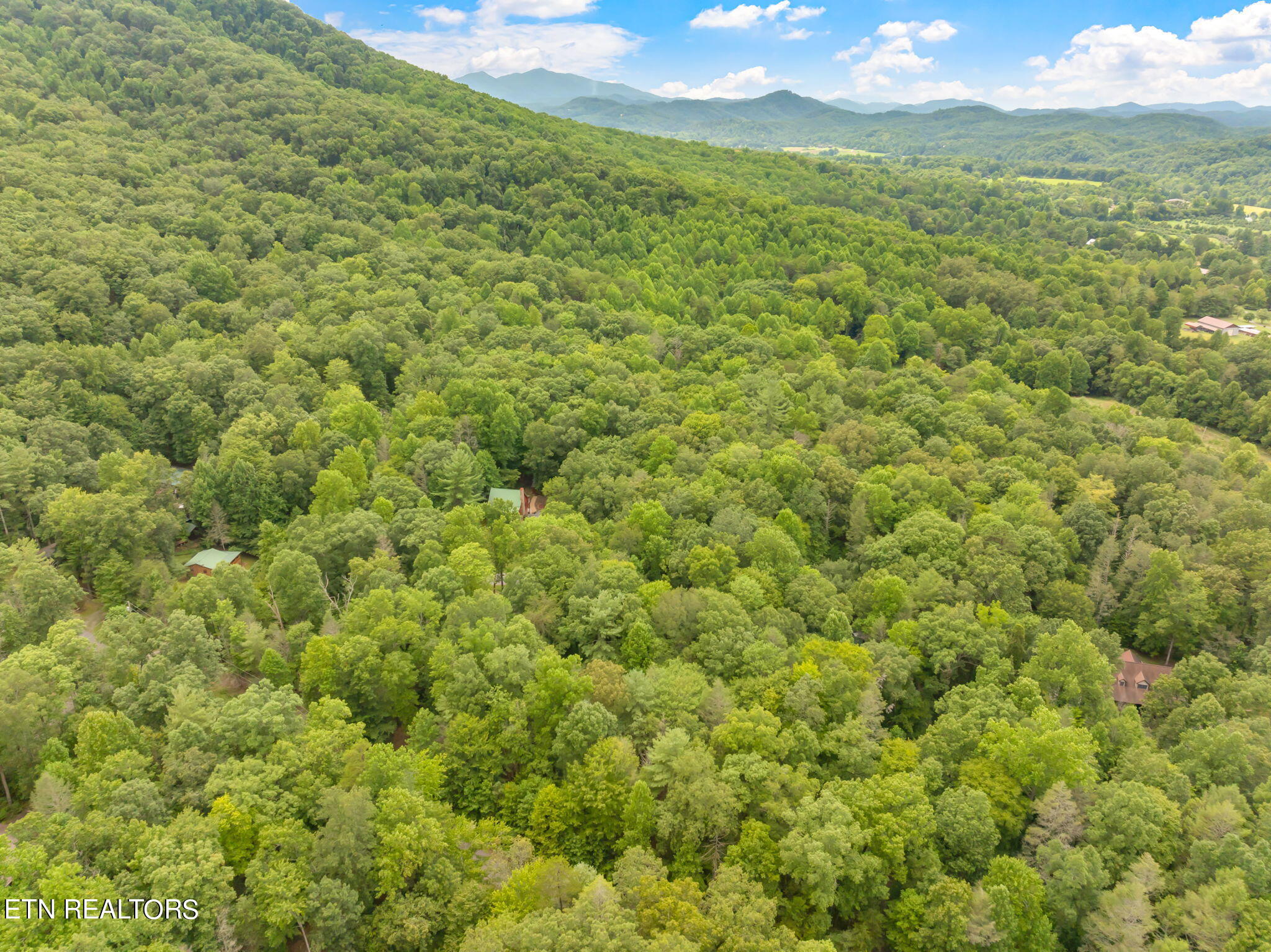 Rocky Ridge Road Cosby, TN 37722 - Photo 13 of 17 1-web-or-mls-Laurelwood Road Land-2