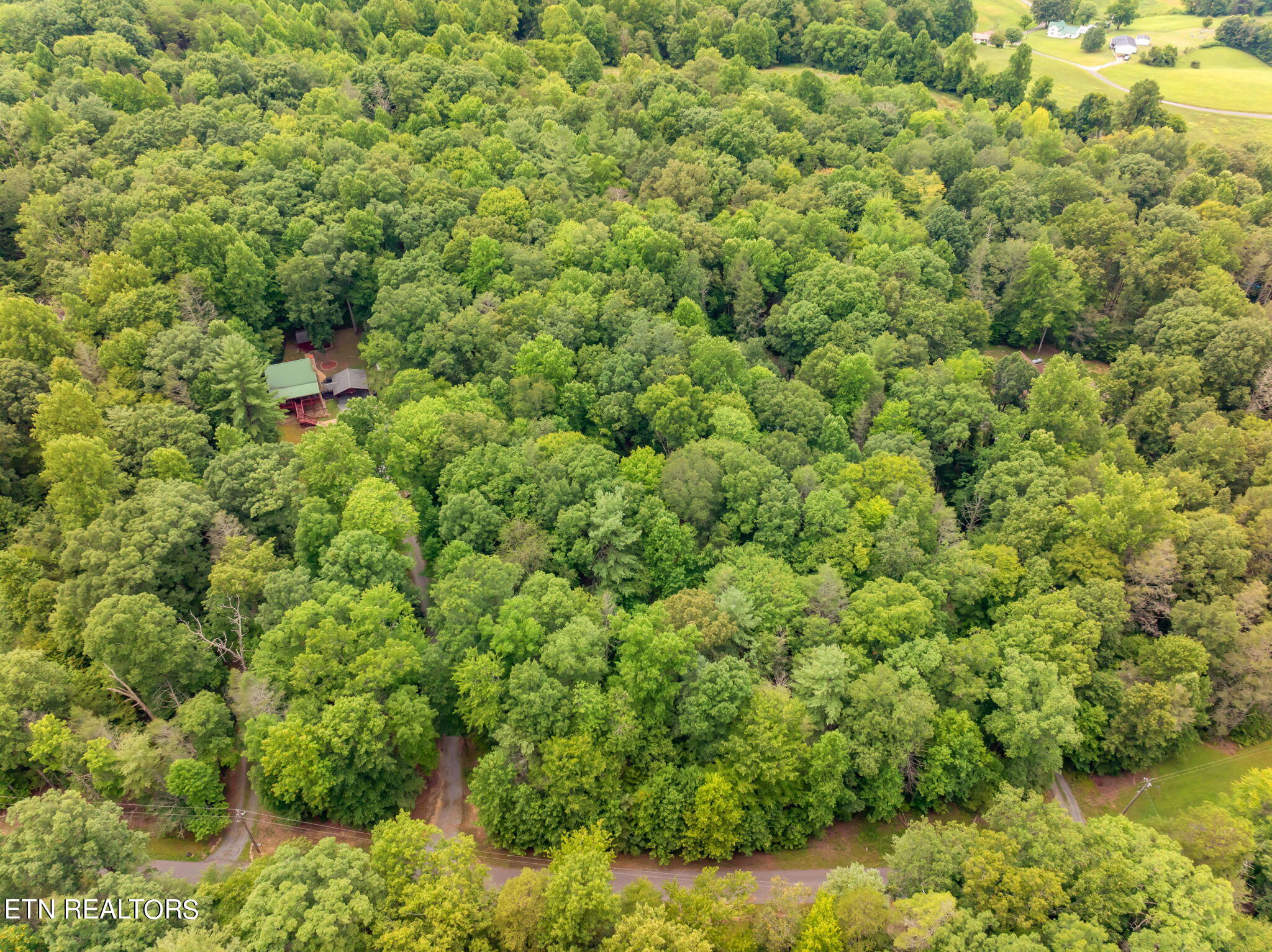 Rocky Ridge Road Cosby, TN 37722 - Photo 14 of 17 3-web-or-mls-Laurelwood Road Land-3