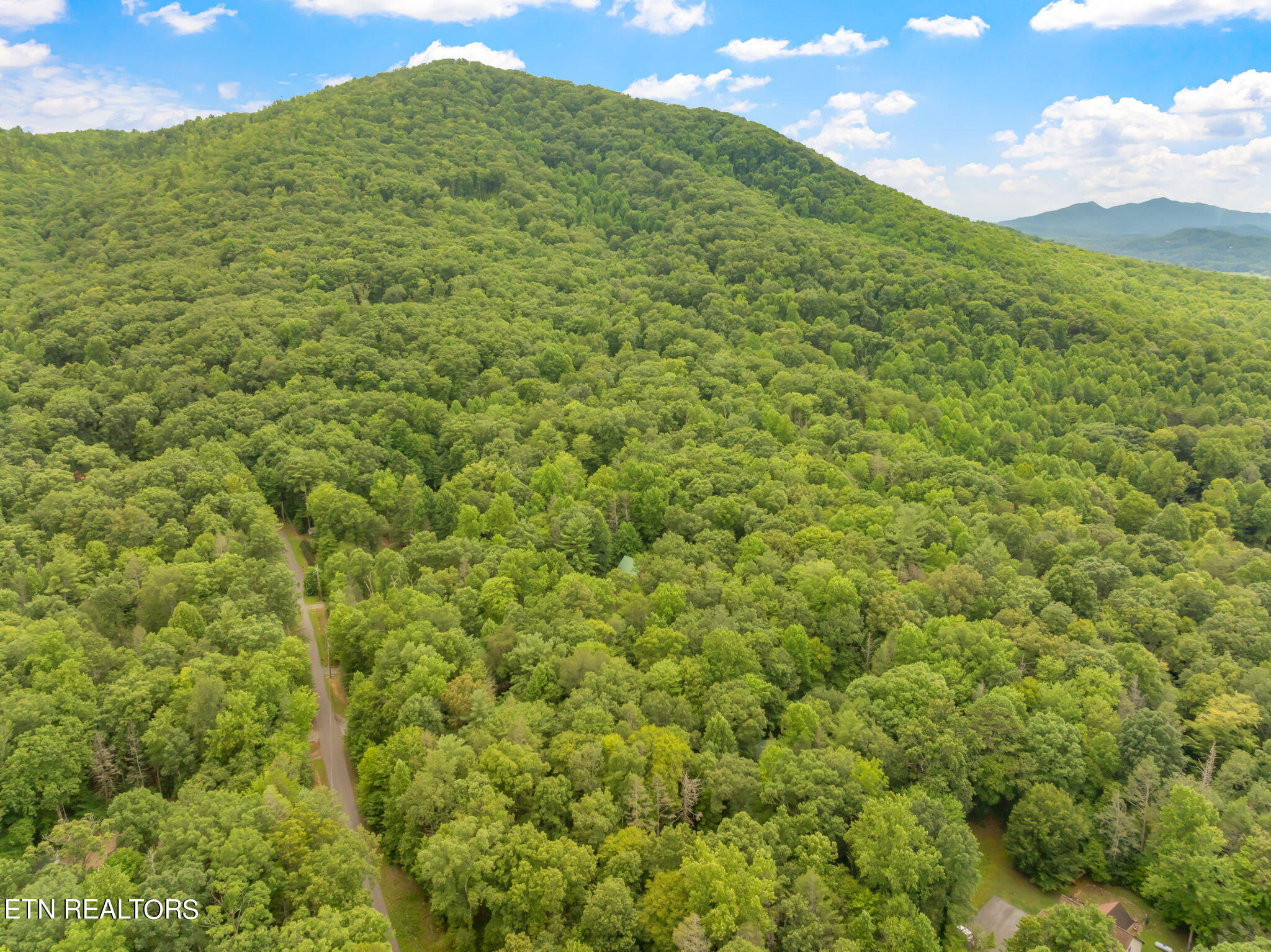 Rocky Ridge Road Cosby, TN 37722 - Photo 16 of 17 6-web-or-mls-Laurelwood Road Land-5