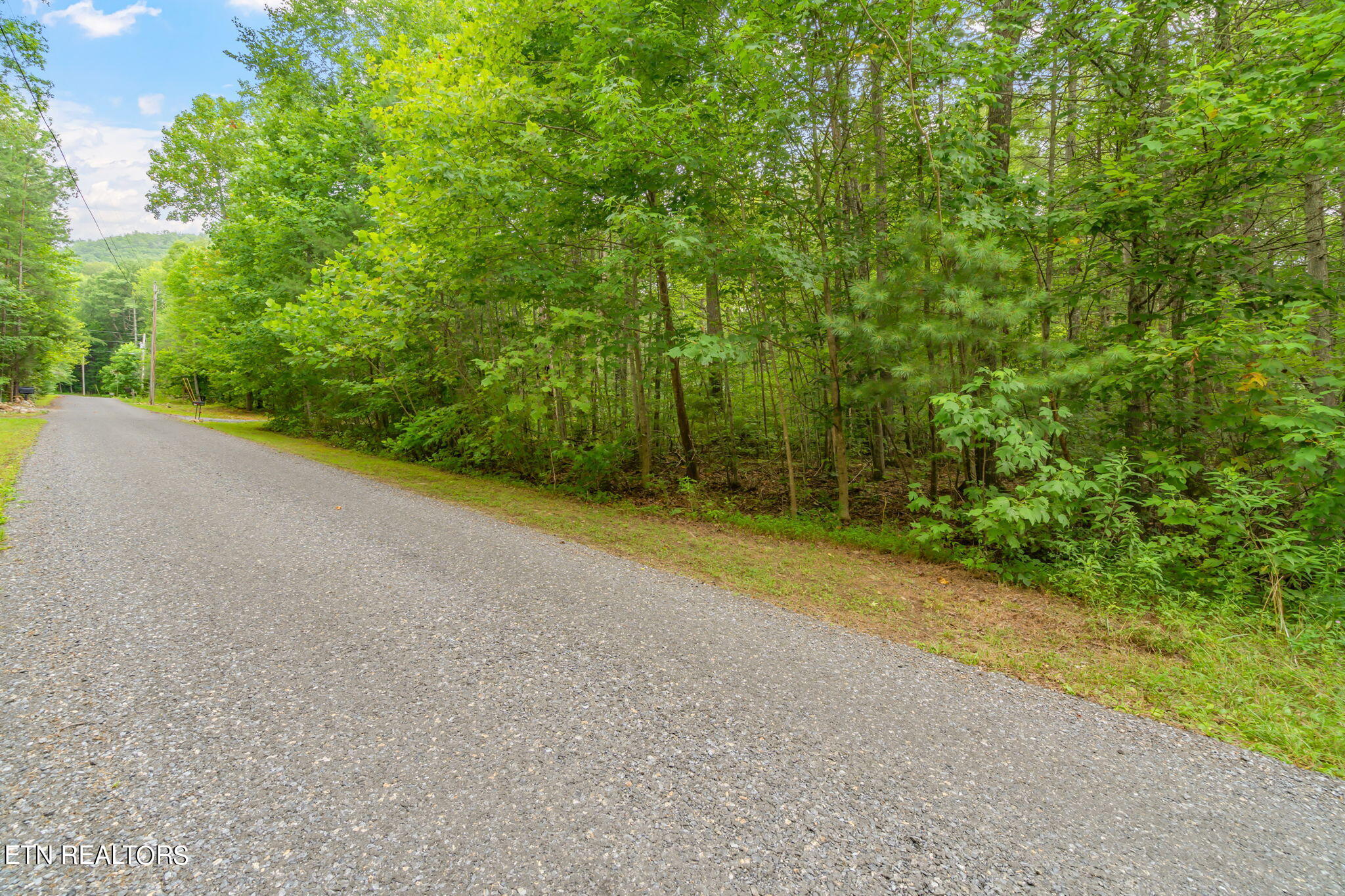 Rocky Ridge Road Cosby, TN 37722 - Photo 3 of 17 14-web-or-mls-Laurelwood Road Land-12