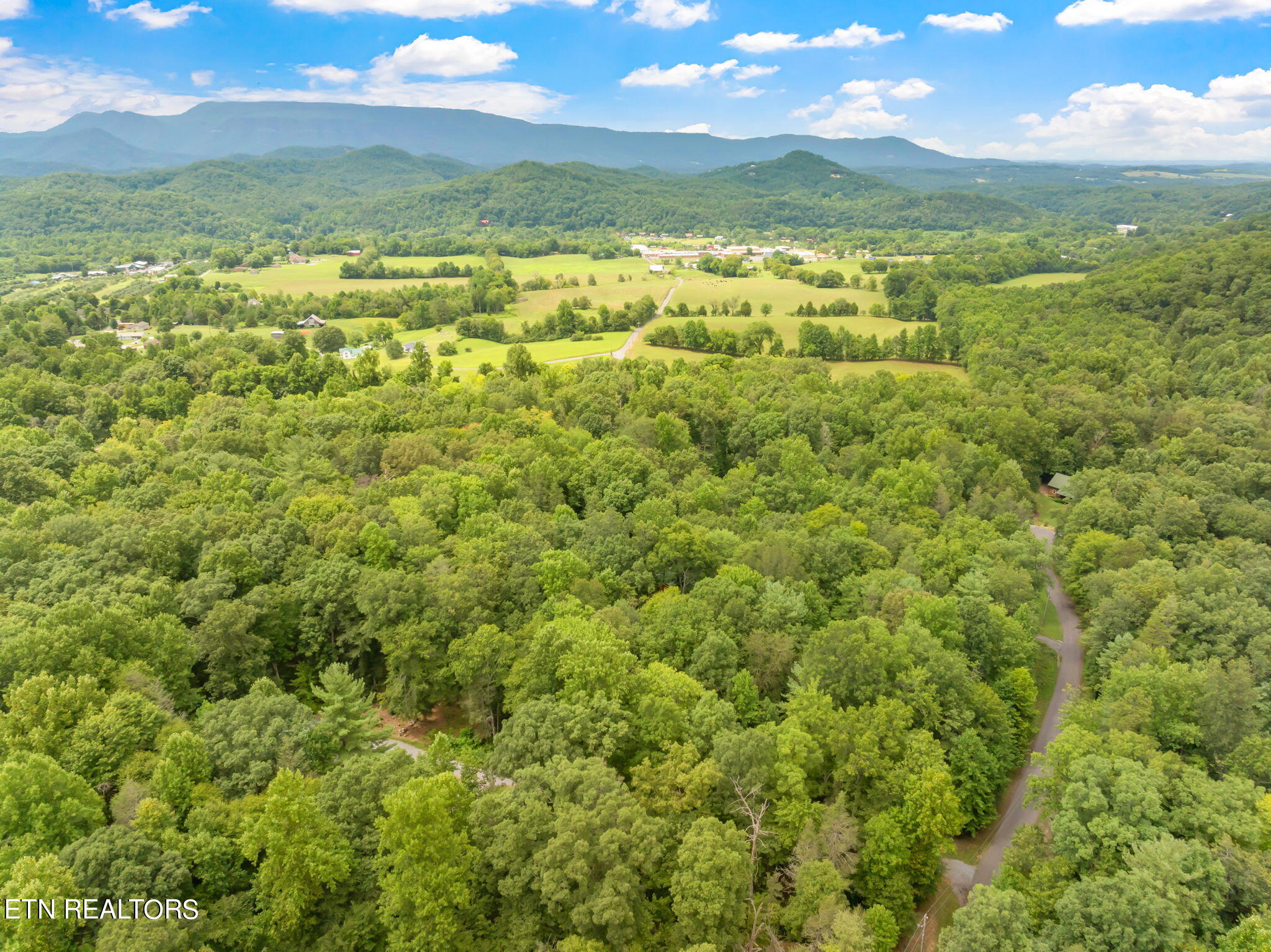 Rocky Ridge Road Cosby, TN 37722 - Photo 7 of 17 9-web-or-mls-Laurelwood Road Land-7