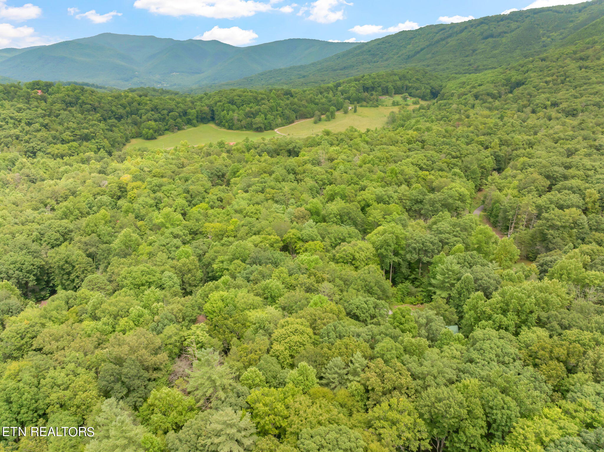 Rocky Ridge Road Cosby, TN 37722 - Photo 8 of 17 10-web-or-mls-Laurelwood Road Land-8