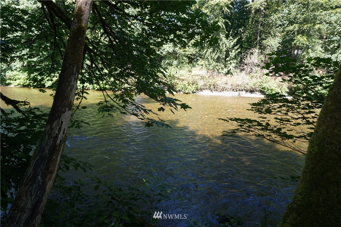 1507 South Machias Road Snohomish, WA 98290 - Photo 10 of 22 a view of lake with green space