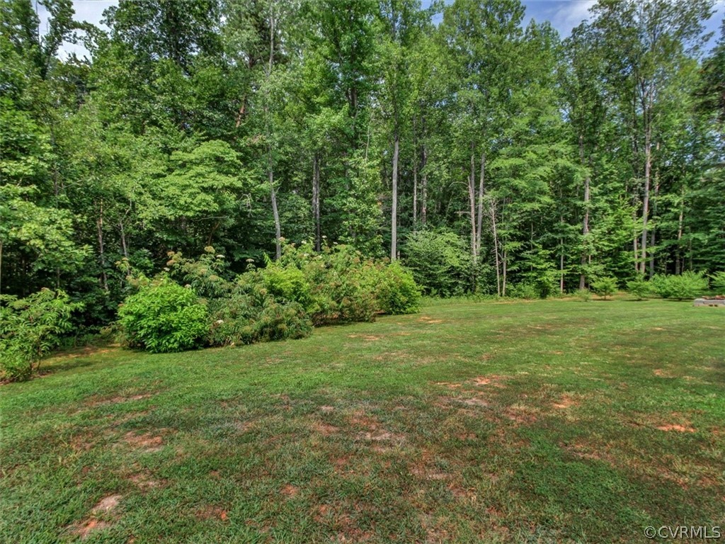 4720 Powhatan Lakes Road Powhatan, VA 23139 - Photo 34 of 35 Backyard views